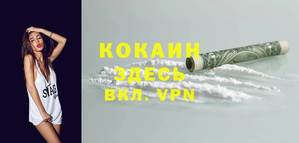 2c-b Инсар