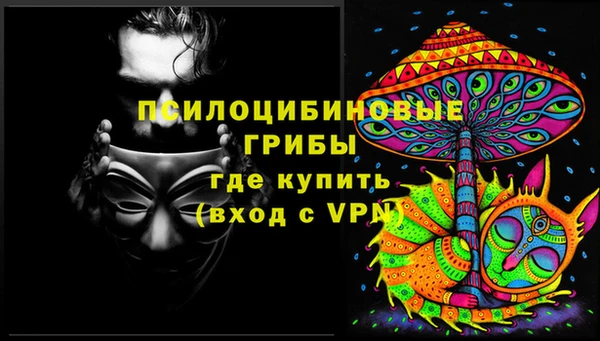 марки lsd Инта