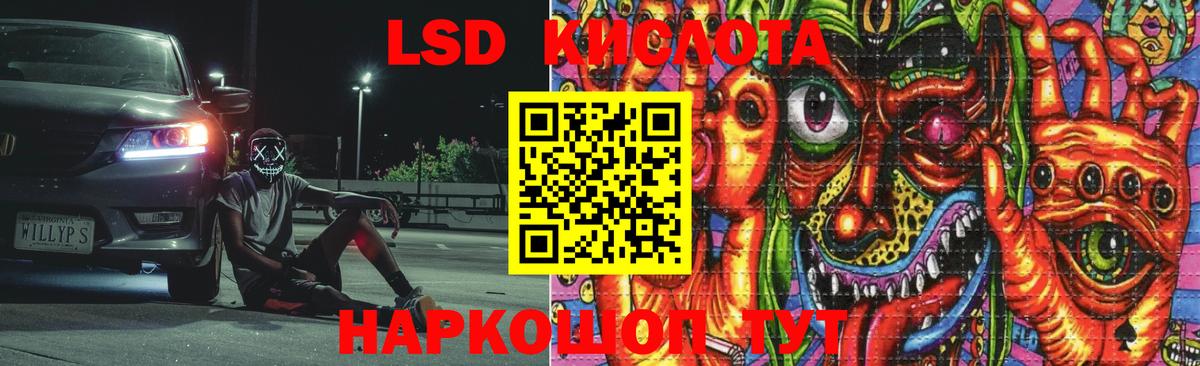 LSD-25 экстази кислота  Бердск  LSD-25 экстази кислота 