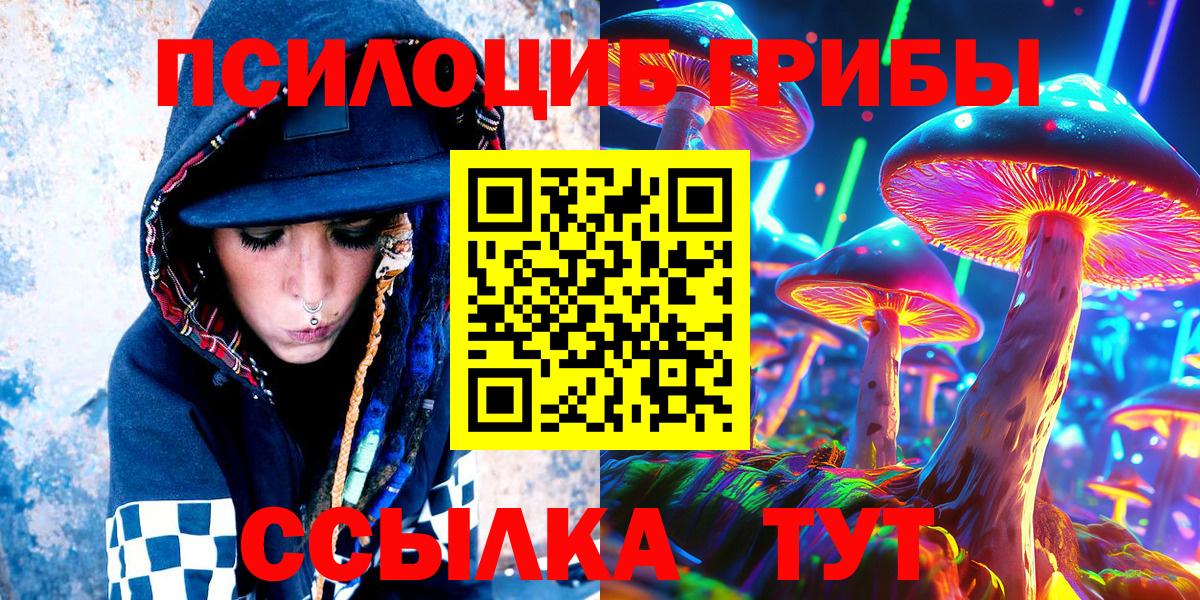 Псилоцибиновые грибы GOLDEN TEACHER Бердск