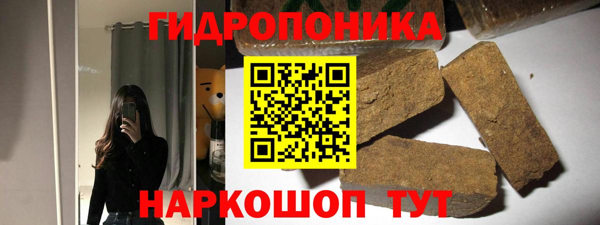 МАРИХУАНА конопля Бердск